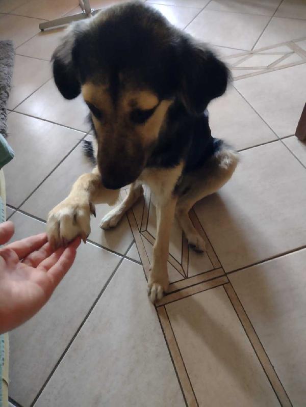 Remì Foto 3